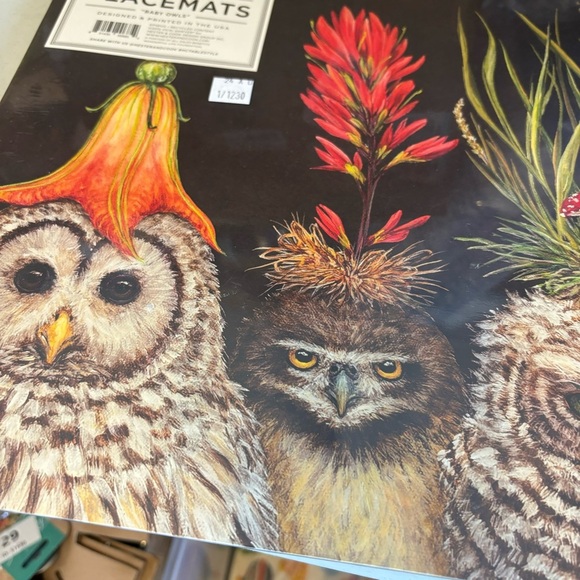 Hester & Cook Baby Owls Paper Placemat 24 Sheets Vicki Sawyer American Made - Picture 4 of 7